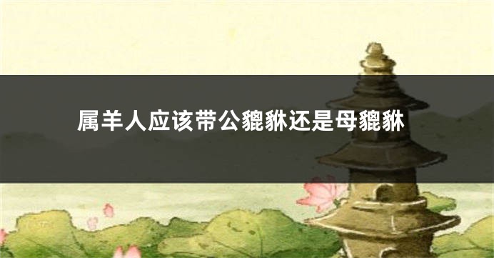 属羊人应该带公貔貅还是母貔貅