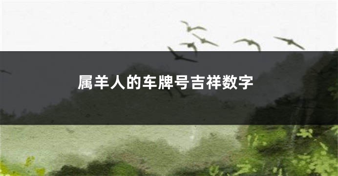 属羊人的车牌号吉祥数字