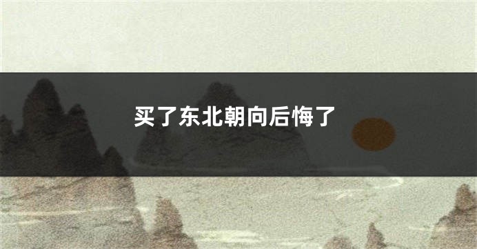 买了东北朝向后悔了
