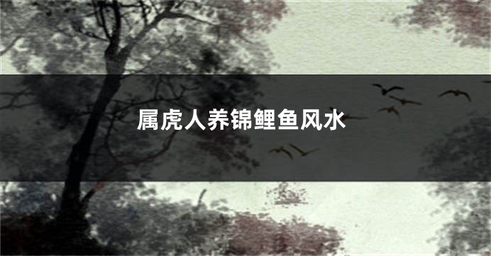 属虎人养锦鲤鱼风水