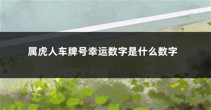 属虎人车牌号幸运数字是什么数字