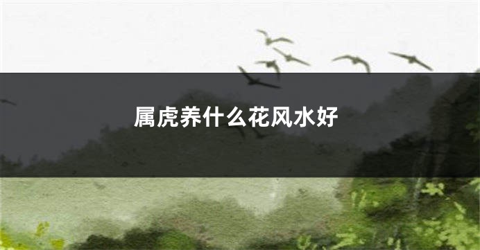 属虎养什么花风水好