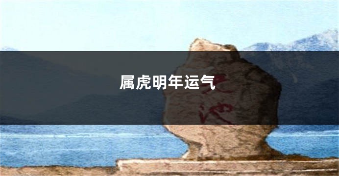 属虎明年运气