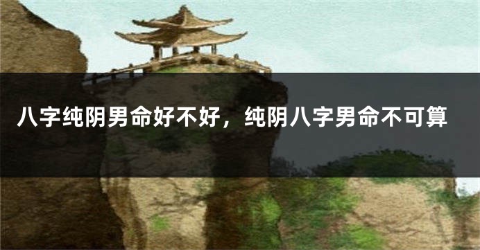 八字纯阴男命好不好，纯阴八字男命不可算