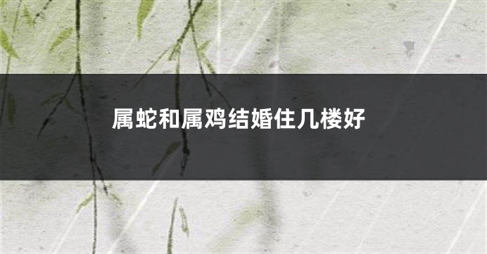 属蛇和属鸡结婚住几楼好