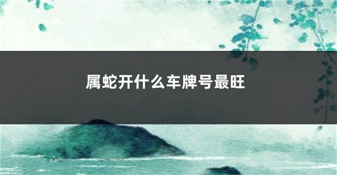 属蛇开什么车牌号最旺