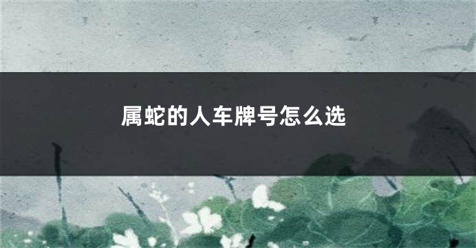 属蛇的人车牌号怎么选