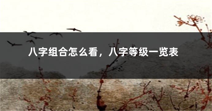 八字组合怎么看，八字等级一览表