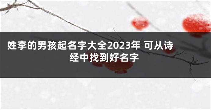 姓李的男孩起名字大全2023年 可从诗经中找到好名字