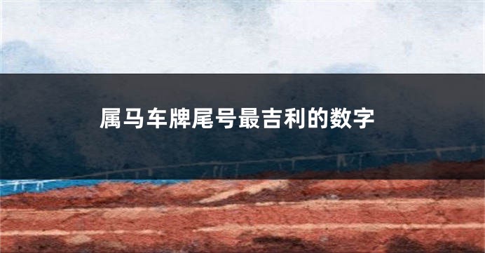 属马车牌尾号最吉利的数字