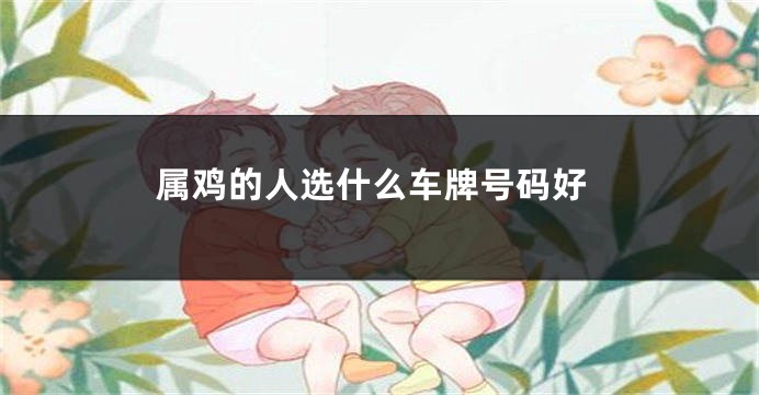 属鸡的人选什么车牌号码好
