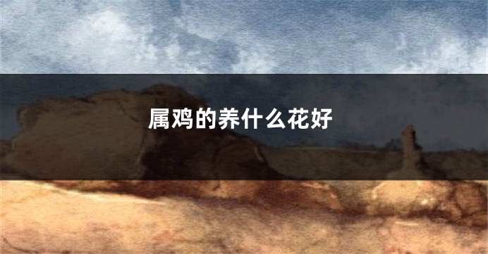 属鸡的养什么花好