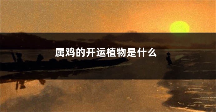 属鸡的开运植物是什么