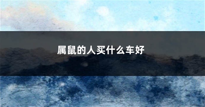 属鼠的人买什么车好
