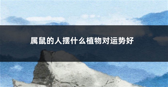属鼠的人摆什么植物对运势好
