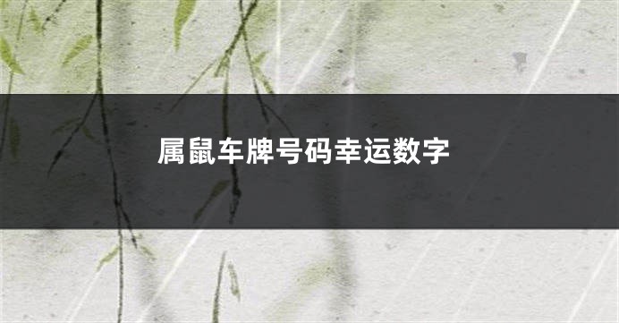 属鼠车牌号码幸运数字