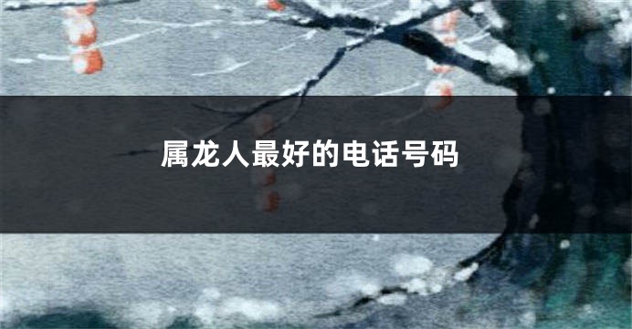 属龙人最好的电话号码