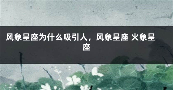 风象星座为什么吸引人，风象星座 火象星座