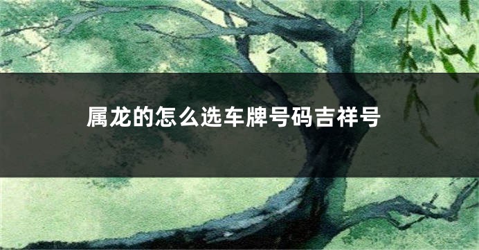 属龙的怎么选车牌号码吉祥号