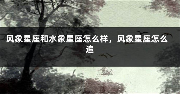 风象星座和水象星座怎么样，风象星座怎么追