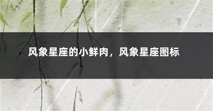 风象星座的小鲜肉，风象星座图标