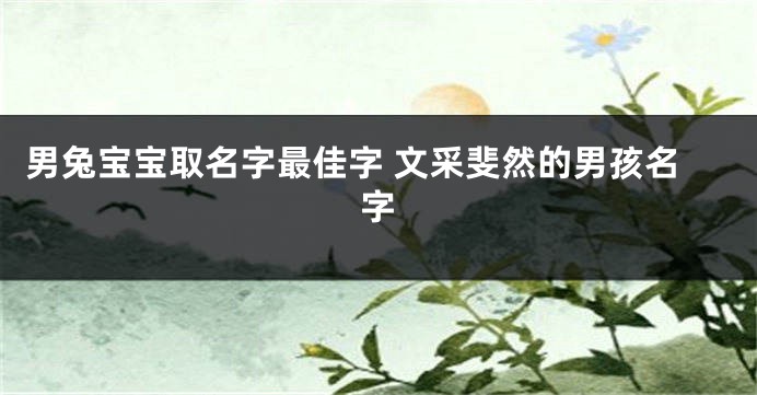 男兔宝宝取名字最佳字 文采斐然的男孩名字