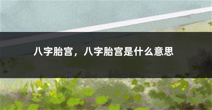 八字胎宫，八字胎宫是什么意思