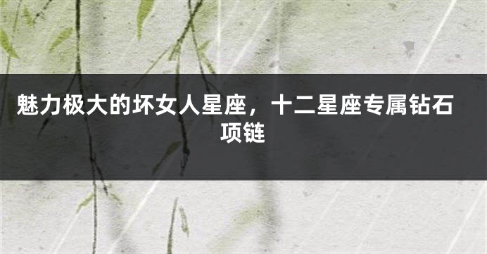 魅力极大的坏女人星座，十二星座专属钻石项链