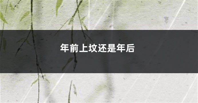 年前上坟还是年后