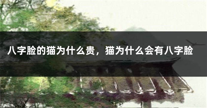 八字脸的猫为什么贵，猫为什么会有八字脸