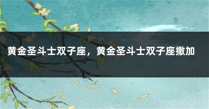 黄金圣斗士双子座，黄金圣斗士双子座撒加