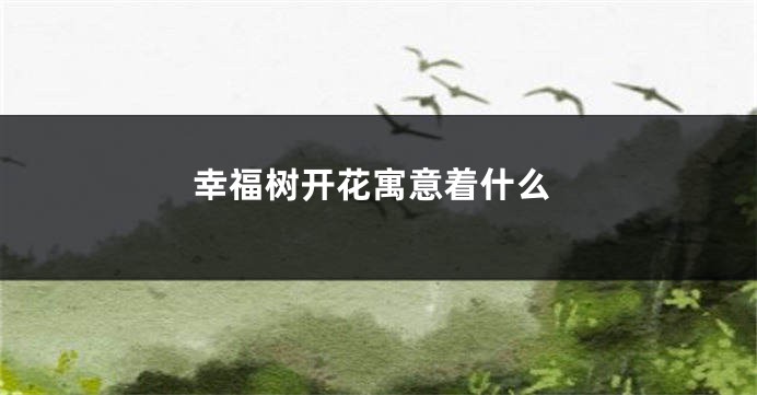 幸福树开花寓意着什么