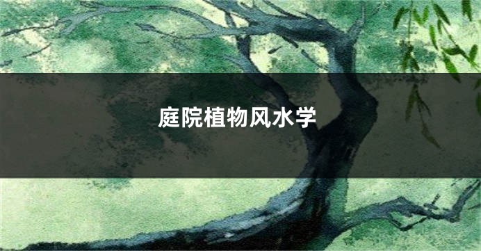 庭院植物风水学