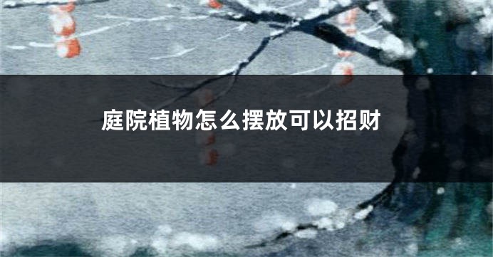 庭院植物怎么摆放可以招财