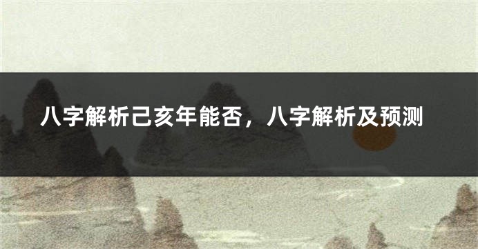 八字解析己亥年能否，八字解析及预测