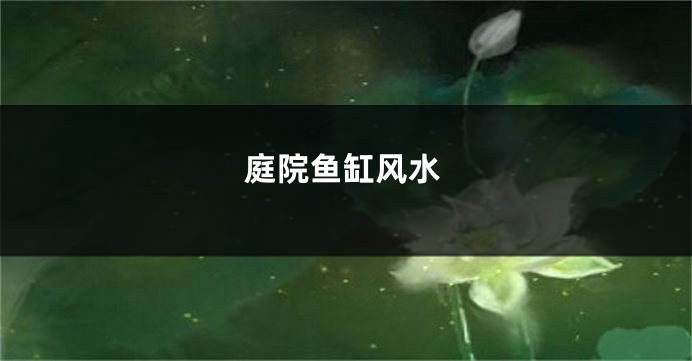 庭院鱼缸风水