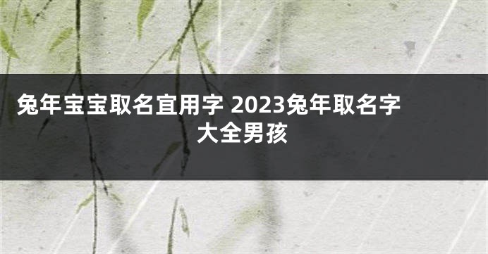 兔年宝宝取名宜用字 2023兔年取名字大全男孩