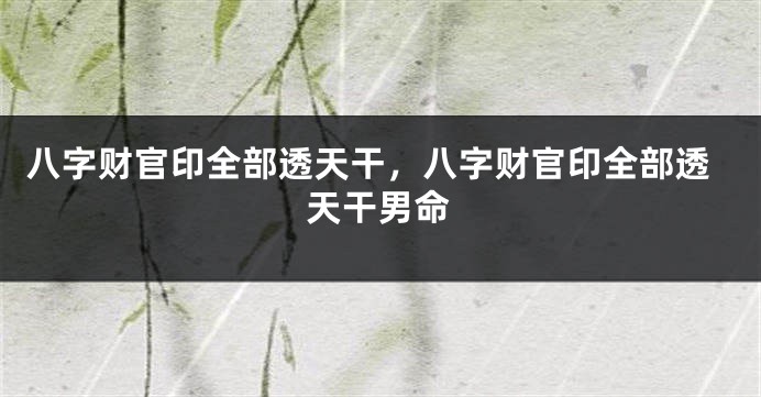 八字财官印全部透天干，八字财官印全部透天干男命
