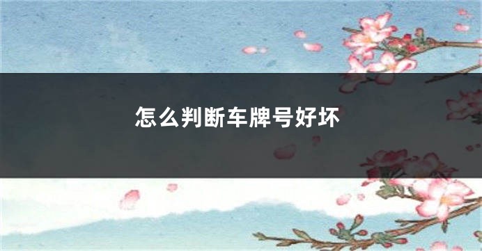 怎么判断车牌号好坏