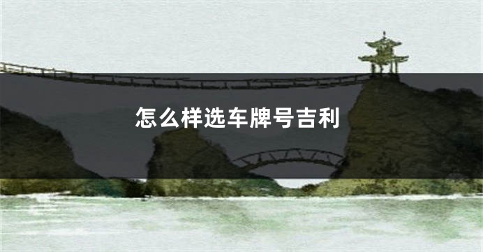 怎么样选车牌号吉利