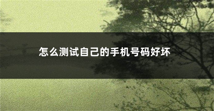 怎么测试自己的手机号码好坏