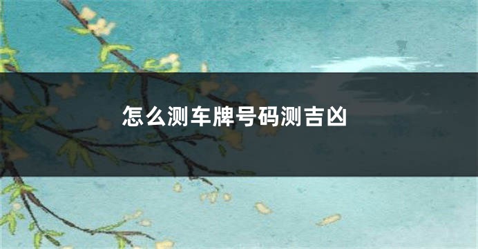怎么测车牌号码测吉凶
