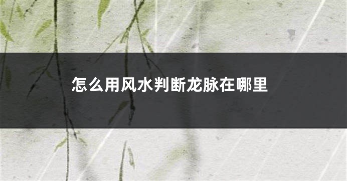 怎么用风水判断龙脉在哪里