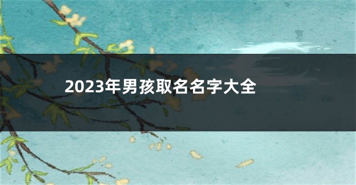 2023年男孩取名名字大全