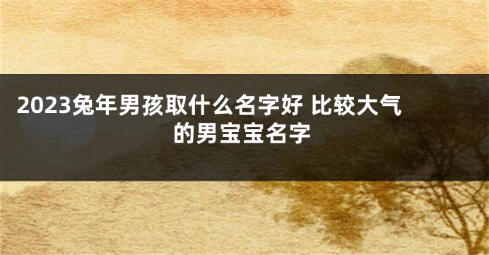 2023兔年男孩取什么名字好 比较大气的男宝宝名字