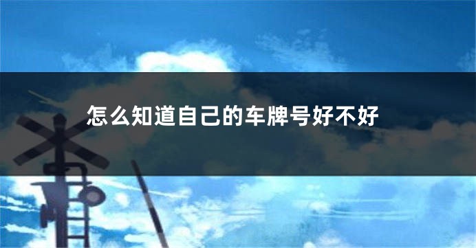 怎么知道自己的车牌号好不好