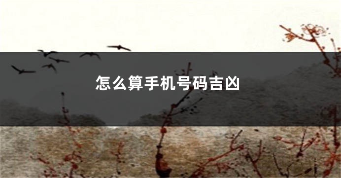 怎么算手机号码吉凶