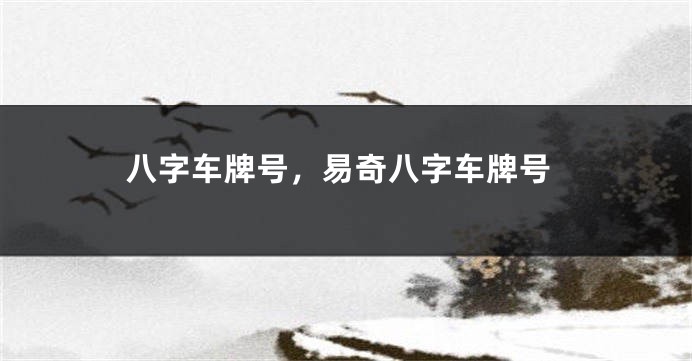 八字车牌号，易奇八字车牌号