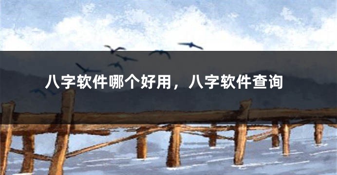 八字软件哪个好用，八字软件查询