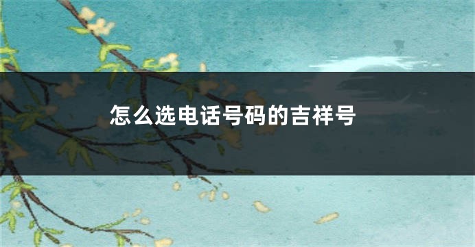 怎么选电话号码的吉祥号